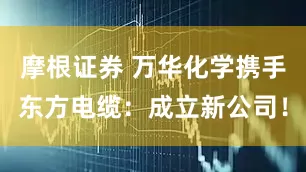 摩根证券 万华化学携手东方电缆：成立新公司！